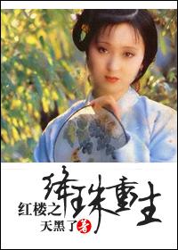 红楼同人之绛珠重生_天黑了.txt