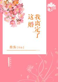 这婚我离定了大结局