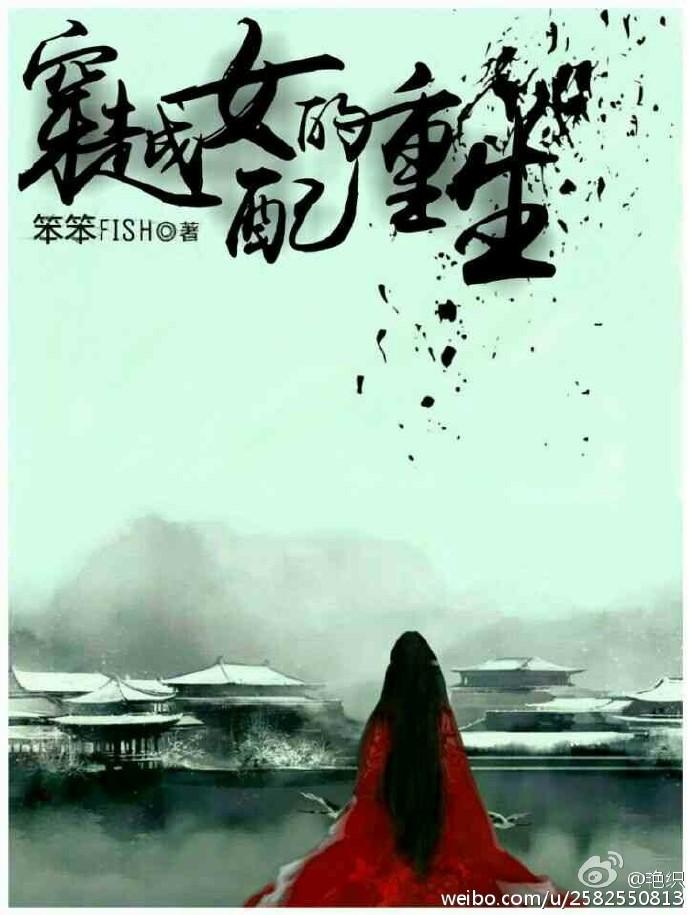 穿越重生之女配