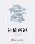 问道盗宝小贼怎么打