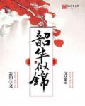 韶华似锦是什么意思