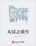 大汉重生穿越刘琦