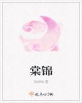 棠锦 玖拾陆