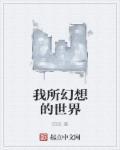 我幻想的游戏世界