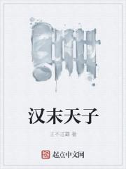 汉末天子从献帝开始