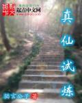真仙石怎么得