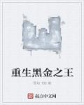 重生之黑金帝国txt