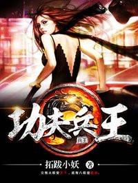 功夫兵王特种兵