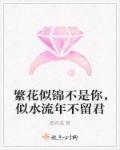 繁花似锦似水年华意思