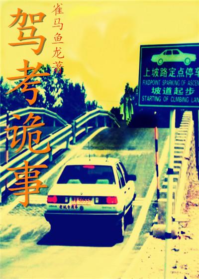 真实驾考视频