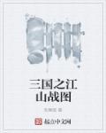 三国最后被谁统一了