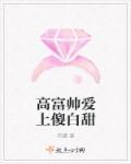 傻白甜和高富帅