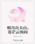 苍茫云海间打一动物