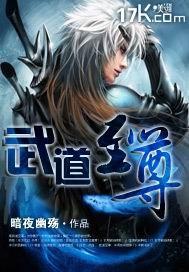 武道至尊叶铭