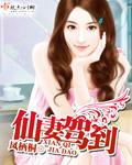 仙妻驾到连续剧全集免费观看
