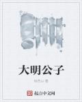 大明公子 离家去国整三年级