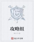 攻略组的意思