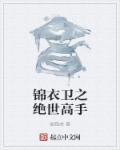 锦衣卫十部必看电影