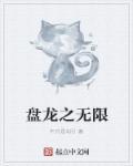 盘龙之无敌