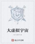 虚拟宇宙公司标志