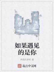 如果遇到你