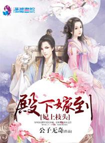 妃上枝头殿下嫁到 公子无奇好看吗