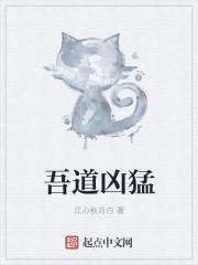 吾道意思是什么