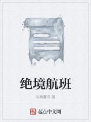 绝命航班的飞机