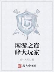 网游之巅峰玩家txt