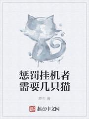 惩罚者技能怎么放