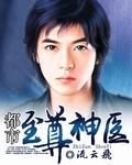 都市至尊神医叶辰