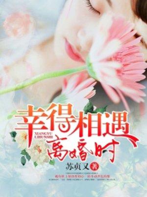 幸得相遇离婚时短剧