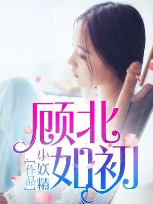 顾北如初免费阅读笔趣阁
