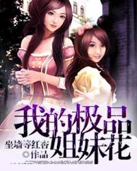 我的极品姐妹花林浩