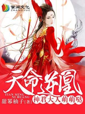 改文天命逆凰gl