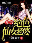 我的绝色仙女老婆 第27章