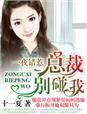 总裁一夜没出未