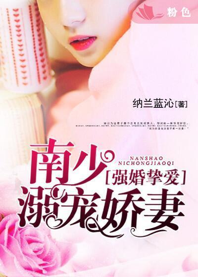 南少宠妻无度全文阅读