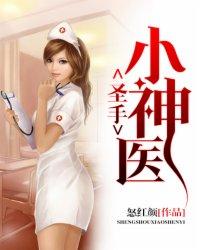 圣手小神医透视眼赌石在山村