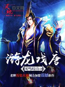 游龙戏唐tⅹt