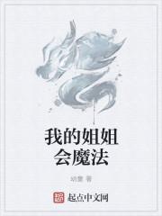 我的学姐会魔法起点
