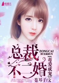 总裁不二婚