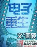 重生电子帝国起点中文网