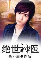 绝世神医叶秋