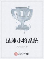 足球小将足球
