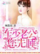 夜少的心尖宠逃妻