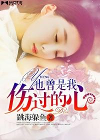 也曾是我伤过的心讲的什么