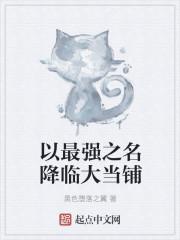 以最强之名降临二次元