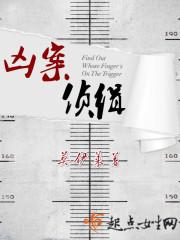 凶案侦缉完本txt