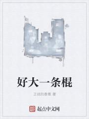 老子是什么